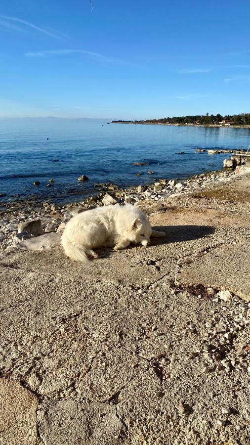 Vila Bianca Umag Luaran gambar