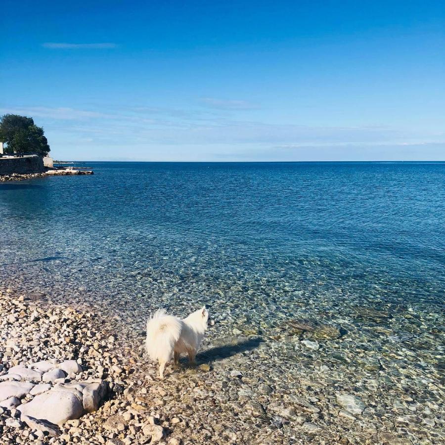 Vila Bianca Umag Luaran gambar